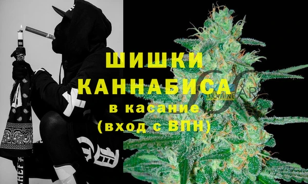ГАЛЛЮЦИНОГЕННЫЕ ГРИБЫ Белоозёрский