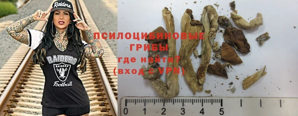 ГАЛЛЮЦИНОГЕННЫЕ ГРИБЫ Белоозёрский