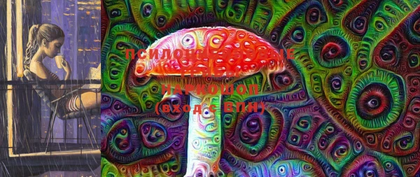 ГАЛЛЮЦИНОГЕННЫЕ ГРИБЫ Белоозёрский