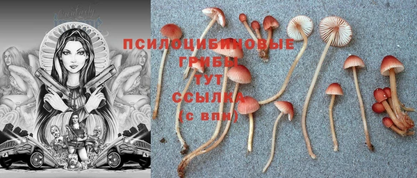 экстази Белокуриха